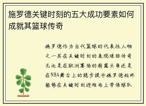 施罗德关键时刻的五大成功要素如何成就其篮球传奇 施罗德关键时刻的五大成功要素如何成就其篮球传奇