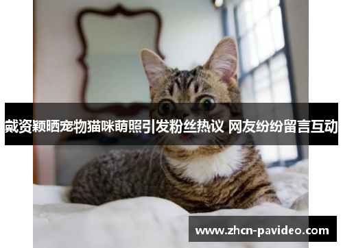 戴资颖晒宠物猫咪萌照引发粉丝热议 网友纷纷留言互动 戴资颖晒宠物猫咪萌照引发粉丝热议 网友纷纷留言互动