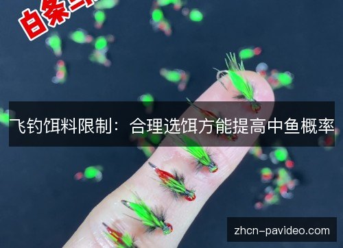 飞钓饵料限制：合理选饵方能提高中鱼概率